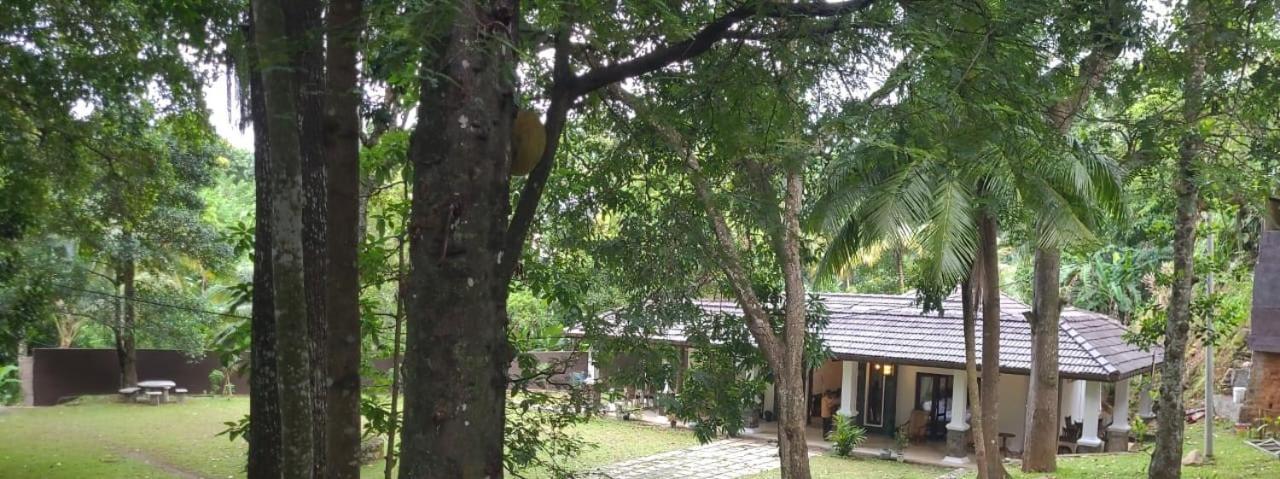 Villa D55 Κάντι Εξωτερικό φωτογραφία
